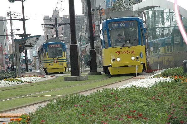 軌道緑化のトップランナー・鹿児島市電