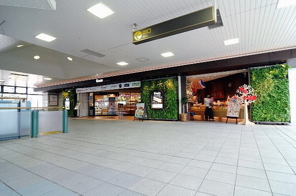 西武鉄道練馬高野台駅の駅ナカの壁面緑化
