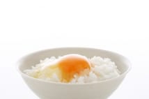 卵の豆知識集 アミノ酸豊富な卵のカラザは捨てずに食すべき