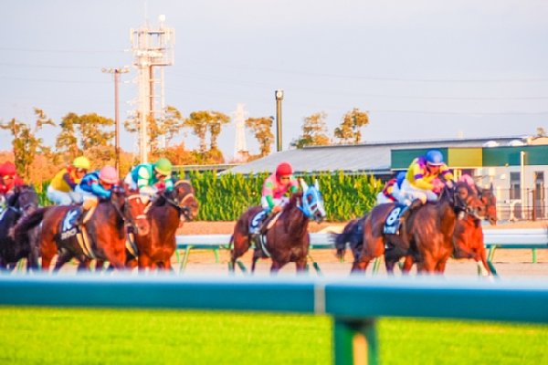 藤原厩舎の強さの秘密は