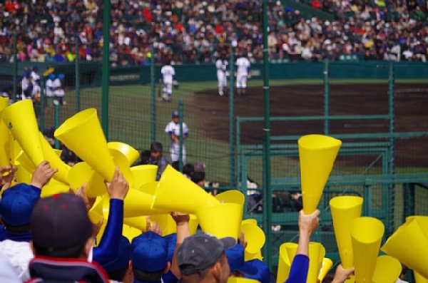 甲子園出場目指し各地で熱戦が繰り広げられている