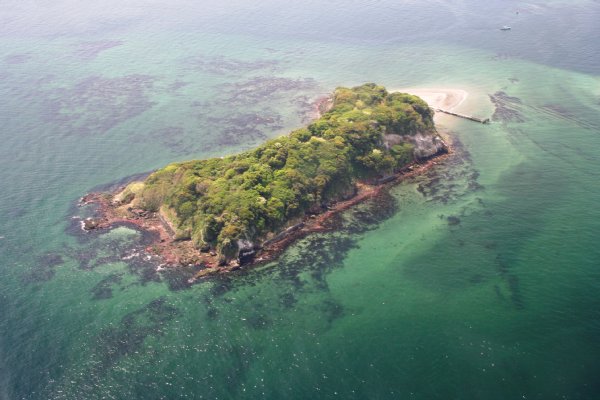 島をまるごと貸し切れる神奈川県横須賀市の猿島