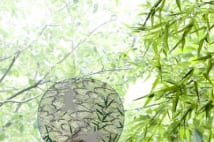 目で涼をとる「京うちわ」 飾り道具付きで10万8000円