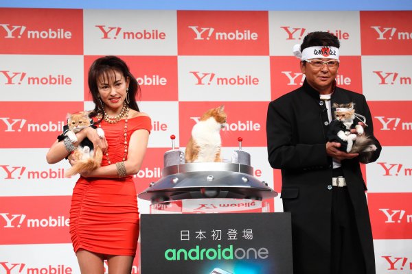 Y!mobileのCMに登場する猫と田中美奈子、哀川翔