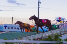 客も並走する「ばんえい競馬」は道内でも十勝のみ