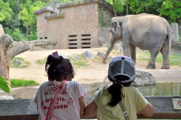 入場者の減少や赤字に悩む動物園も多い