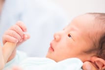 卵子凍結 300万円かかったが「いつか産める安心感ある」