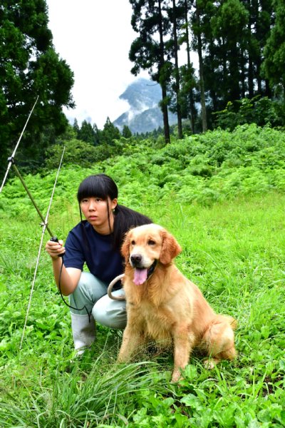 らっきょう畑のモンキー･ドッグ、クマ