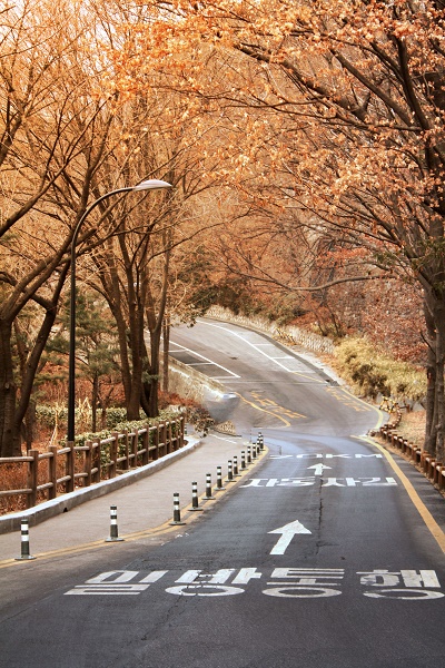 韓国への留学で感じる違和感も