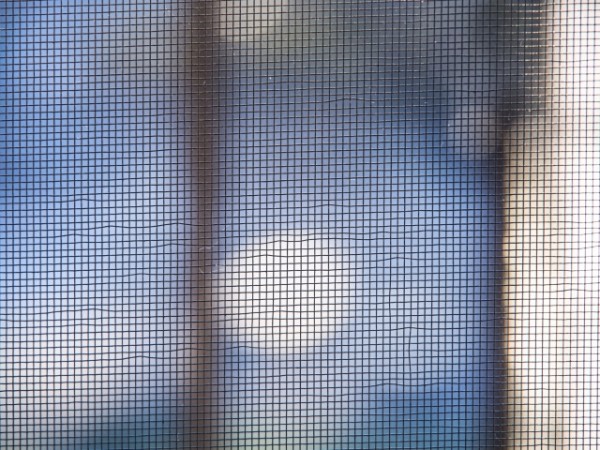 網戸の効率のいい掃除方法とは？