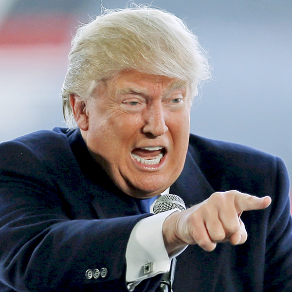 トランプ大統領は公約をすべて実現するとの見方も（写真／アフロ）