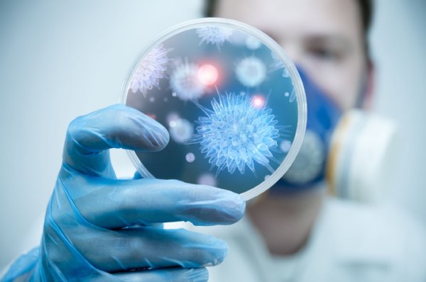 2016年は過去最多の感染が報告されている人食いバクテリア（イメージ写真／アフロ）