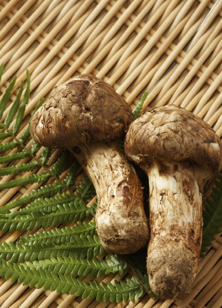 昭和33年当時は安くて手に入り安い食材だった!?（写真／アフロ）