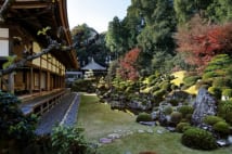 直虎眠る、浜松・龍潭寺の美しい庭園