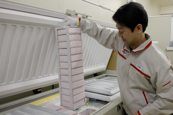 江崎グリコでは大阪と東京でそれぞれ約1万株の乳酸菌・ビフィズス菌を所有している