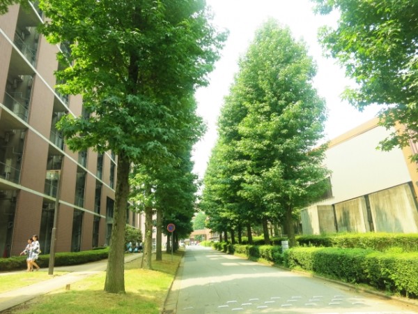 大学公開講座が年々実施増加の理由とは？