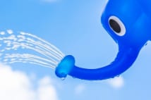 育毛剤の効果をサポートする! 塩素除去するシャワーヘッドに注目