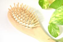 ドラッグストア店長オススメ! 育毛にピッタリのヘアブラシとは?