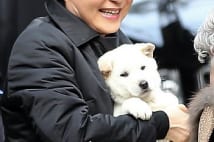 朴槿恵氏を動物愛護団体が告発　罪のない犬まで政争の具に