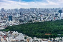 豪国立大名誉教授 バッグ置き忘れも無傷で戻る日本に感動