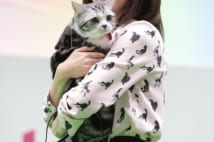 前田敦子がペット関連賞受賞、飼い猫ポッツと登場