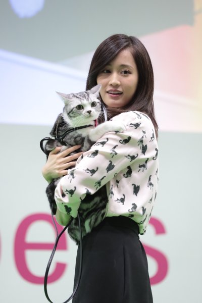 前田敦子と飼い猫の「ポッツ」