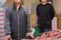 サツマイモのブランド化　冷めても固くならない焼き方を研究