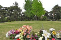 庭園タイプの樹木葬墓地も ビルに囲まれた花のオアシス