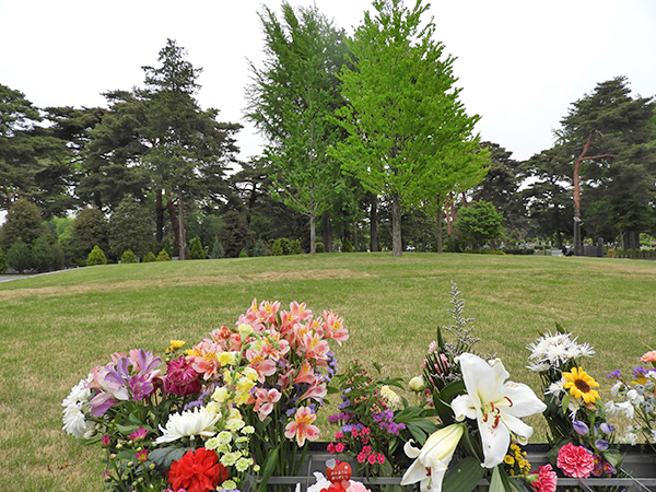 都立初の樹木葬墓地として話題を集めた小平霊園