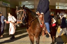 馬カフェの馬 自転車と同じ扱いで客を乗せて駅前にも出没