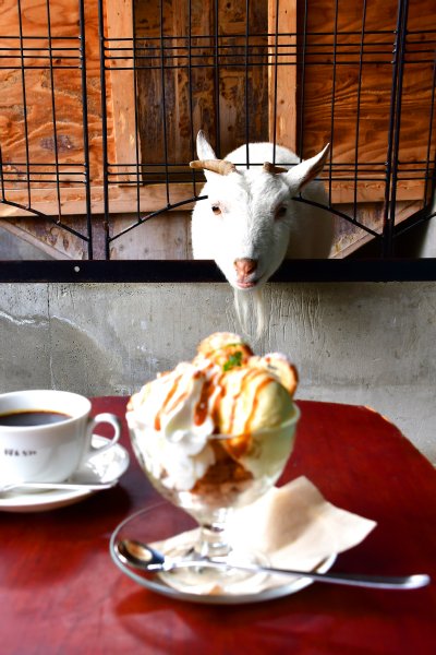 桜丘カフェの接客スタッフ、さくら