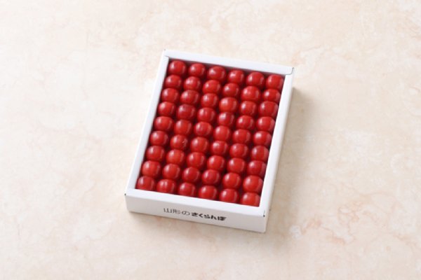 山形県産さくらんぼ（佐藤錦）