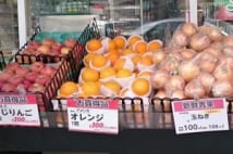 外国産鶏肉、100均野菜…他 その激安食品、買っても大丈夫?