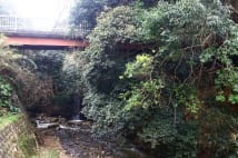 名字でルーツがわかる 佐藤、鈴木、田中、高橋、渡辺の場合