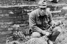 日本兵と心を通わせた豹「ハチ」の物語【前編】