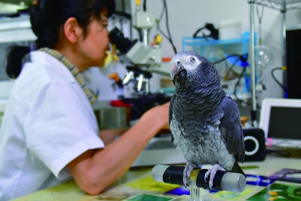 患者と飼い主を励ますベテラン看護師長・ティム