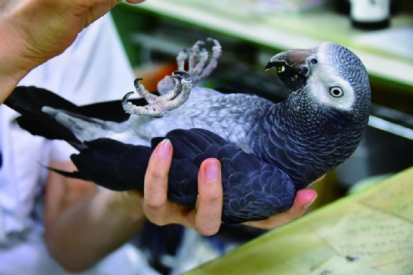 毎晩欠かさない“ティムティムごっこ”!