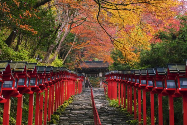 お参りするときのマナーやルールは？（写真：エムオーフォトス／アフロ）