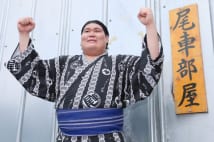 好角家オススメの「大化け力士」　玉金剛、矢後、貴景勝ら