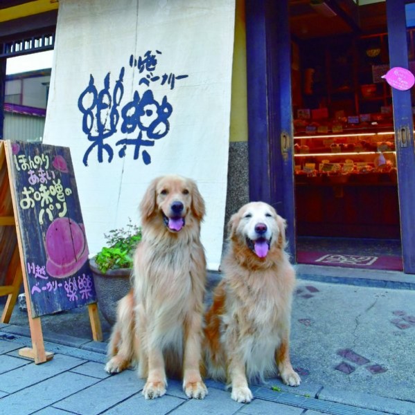 「川越ベーカリー　楽楽」の兄弟犬店長