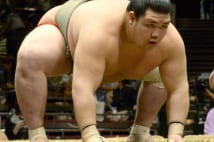 秋場所で躍進の若手力士はいずれもガチンコ貴乃花グループ