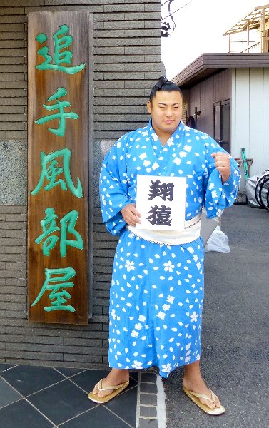 すばしっこく猿のようにとび回るから「とびざる」