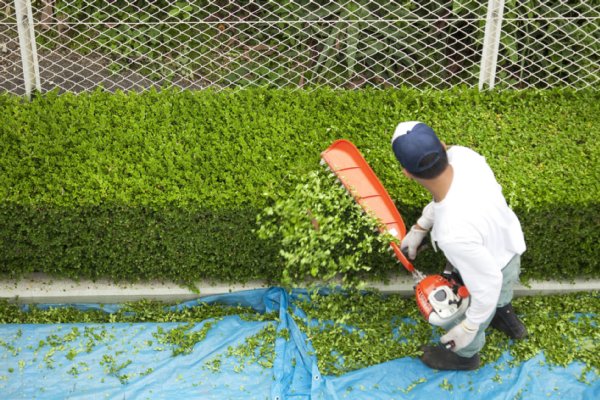 定年退職後も仕事が「生きがい」に（写真／アフロ）