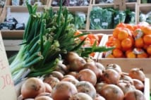 冷夏の影響で野菜高騰の報道出るも、すでに価格は安定