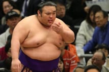 大相撲九州場所　4横綱を迎え撃つ幕内上位勢の充実ぶり