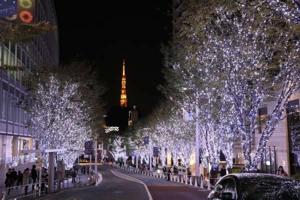 六本木ヒルズの「インスタ映え」するイルミネーション風景