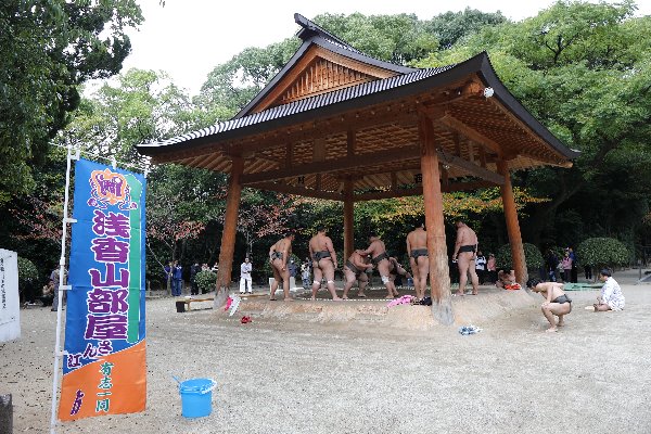 博多区の住吉神社に宿舎を構える浅香山部屋