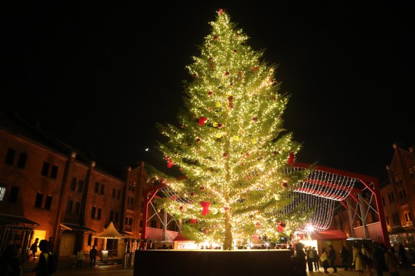 横浜赤レンガ倉庫の高さ10mのクリスマスツリー