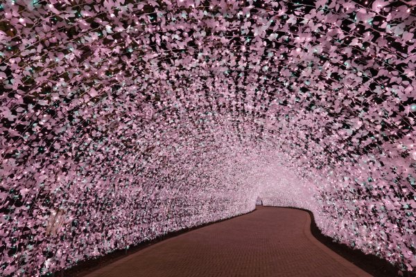 なばなの里（三重県桑名市）