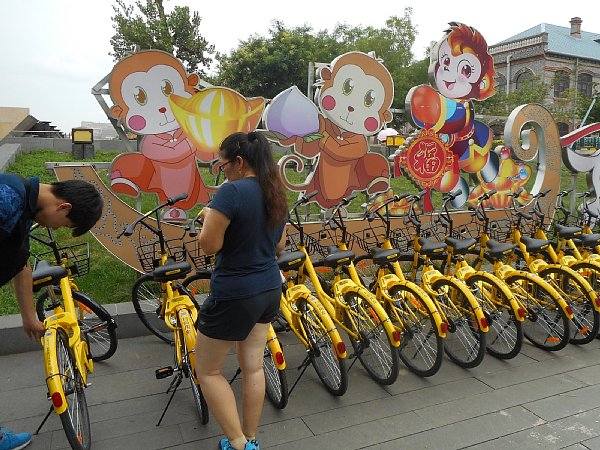 中国遼寧省瀋陽市で貸し出されているシェア自転車（相馬勝氏撮影）